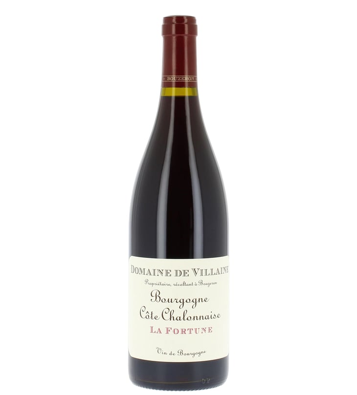 La Fortune - Domaine De Villaine - Aubert De Villaine, Thierry Devaux & Pierre de Benoist -2019