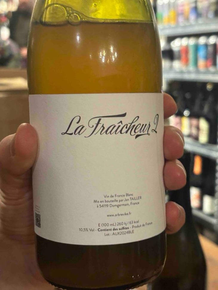 La Fraicheur 2 - L’Arbre Viké - Jan Tailler -2024