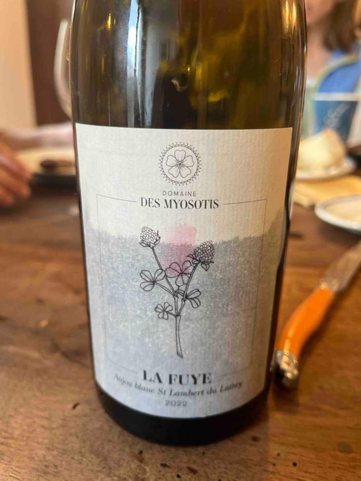 La Fuye - Domaine des Myosotis - Justine Rivet et Romain Bourreau 