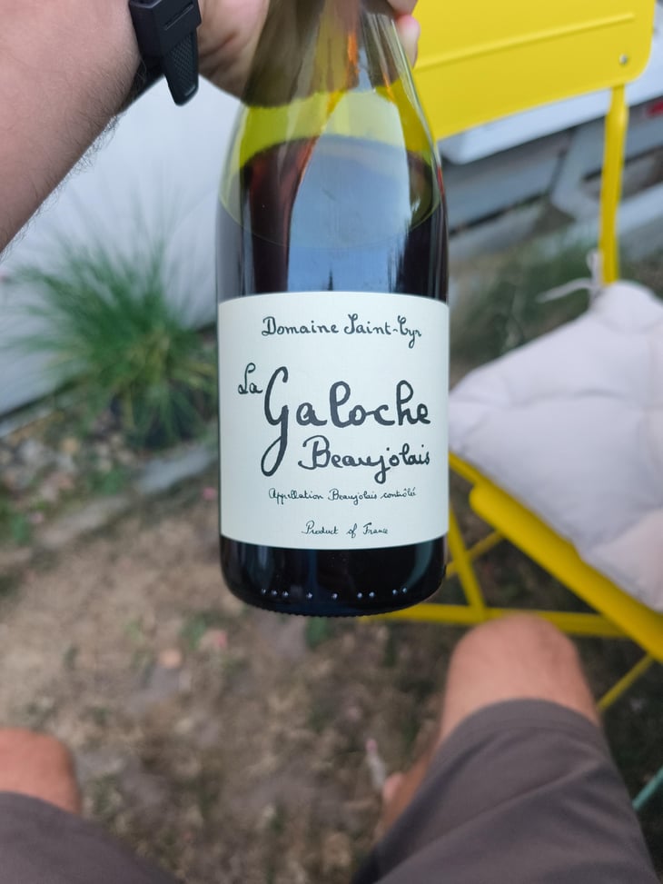 La Galoche Blanche - Domaine Saint-Cyr - Raphaël Saint-Cyr 