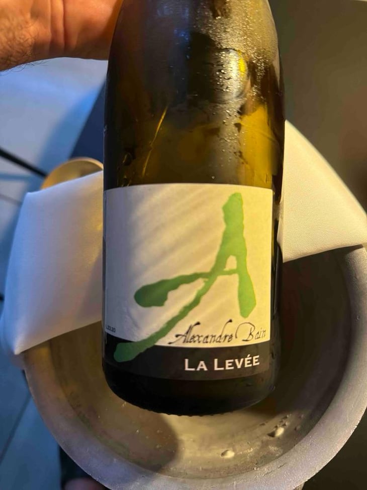 La Levée - Domaine Alexandre Bain - Alexandre Bain 