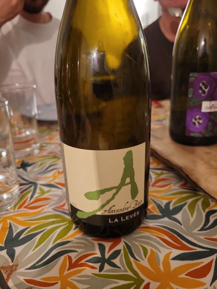 La Levée - Domaine Alexandre Bain - Alexandre Bain 