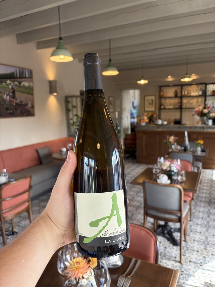 La Levée - Domaine Alexandre Bain - Alexandre Bain 