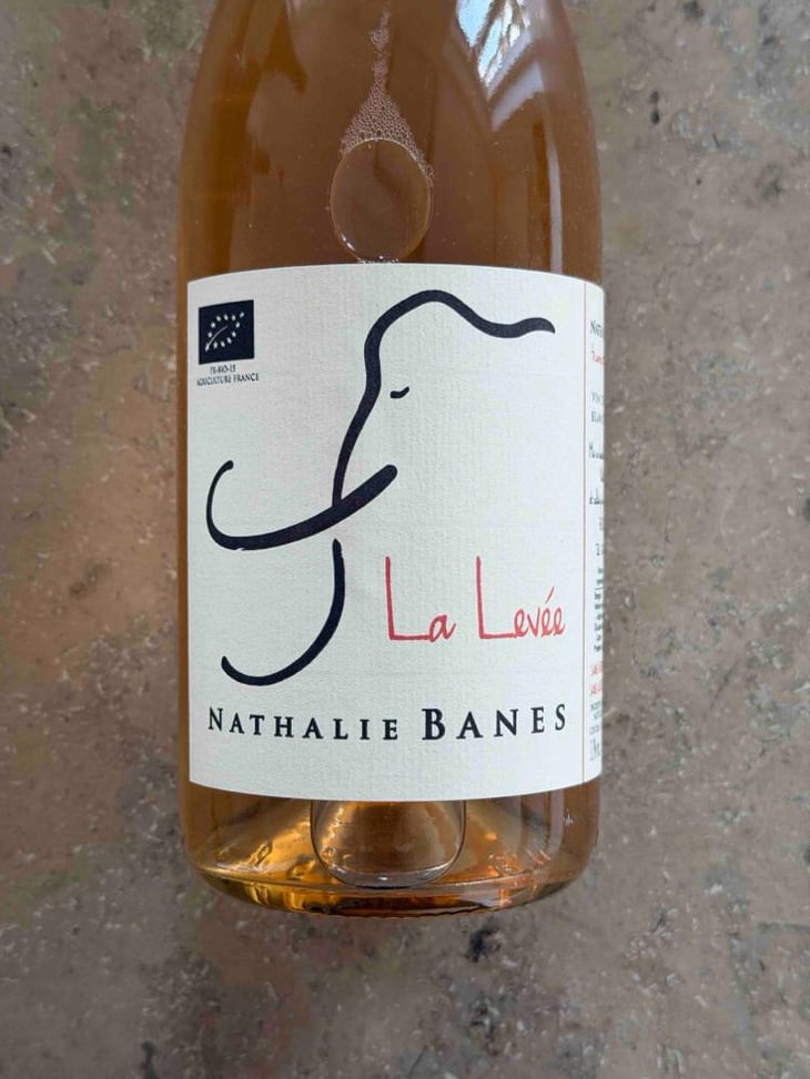 La Levée - Nathalie Banes - Nathalie Banes 
