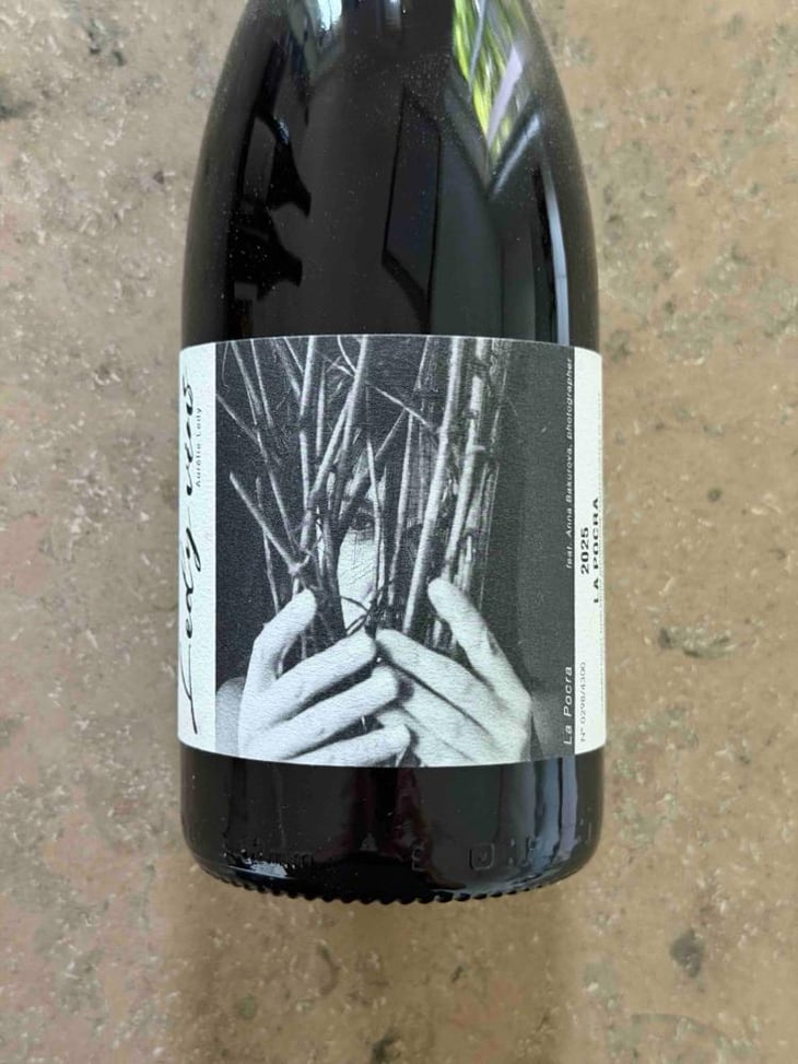 La Pocra - Aurélie Ledy - Aurélie Ledy -2025