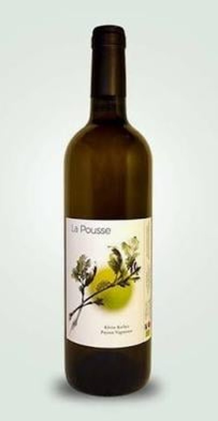 La Pousse - Kévin Barbet paysan vigneron - Kévin Barbet 