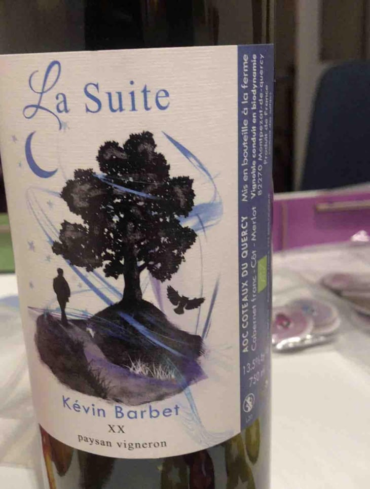 La suite (new label) - Kévin Barbet paysan vigneron - Kévin Barbet 