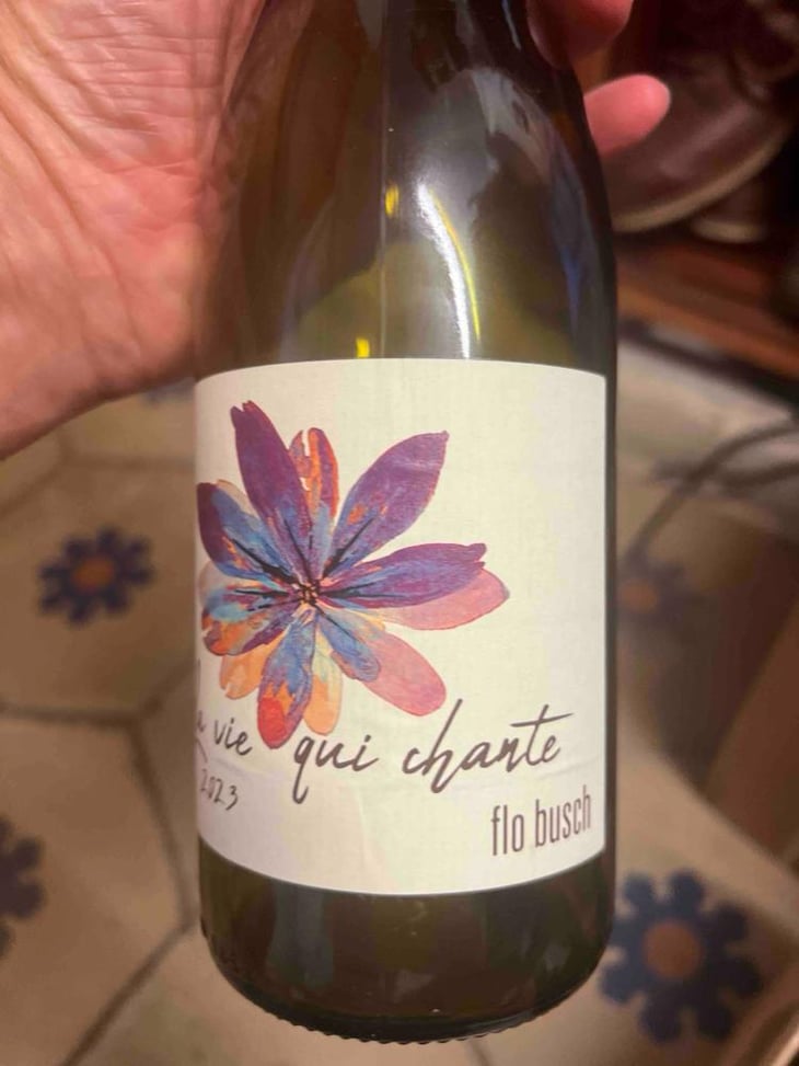 La vie qui chante - Domaine Flo Busch - paola-ponsich-florian-busch 