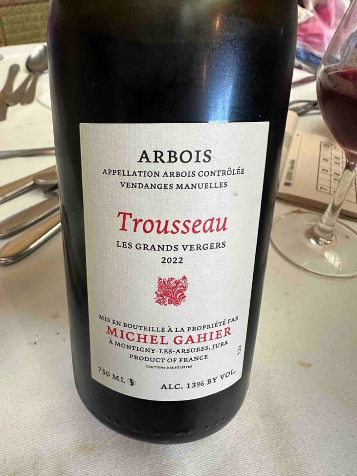 La Vigne du Louis - Michel Gahier - Michel Gahier 
