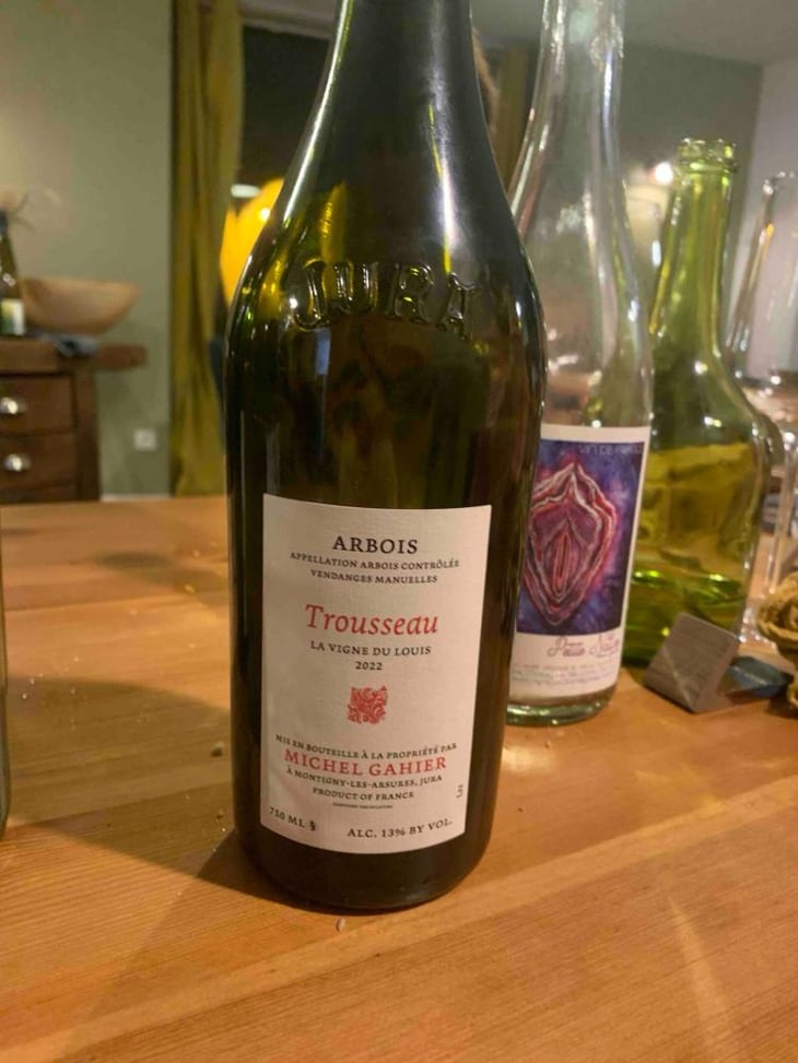 La Vigne du Louis - Michel Gahier - Michel Gahier 