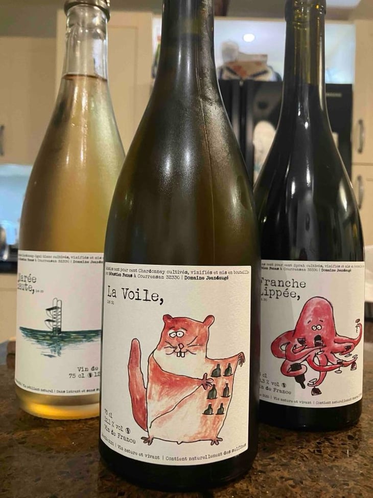 La Voile 2020 - Domaine Jeandaugé - Sébastien Fezas 