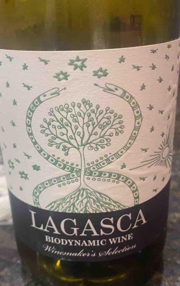 Lagasca - CASTILLA-LA MANCHA - Dominio de punctum -2023