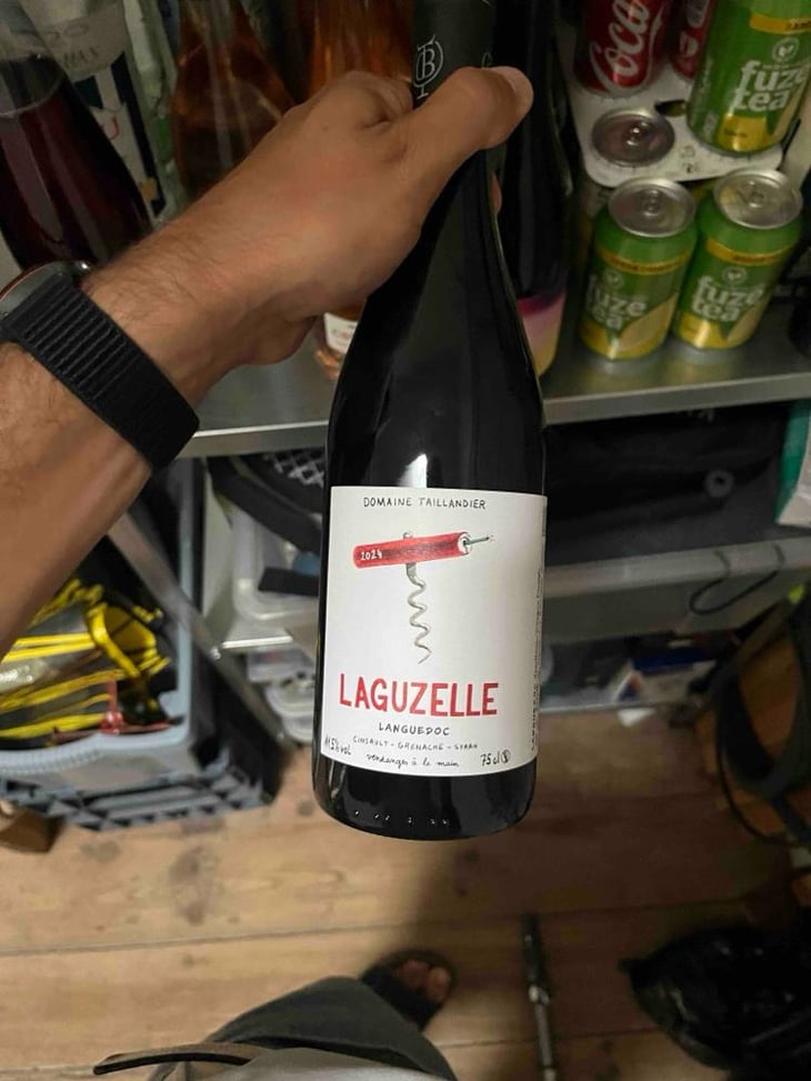 Laguzelle - Domaine Benjamin Taillandier - Benjamin Taillandier 