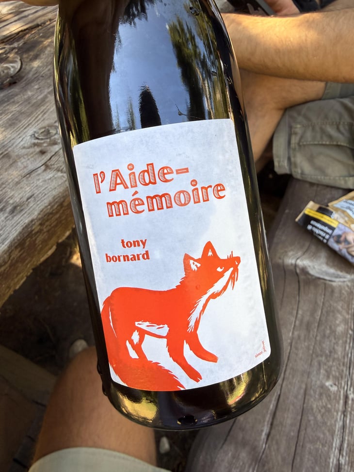 L'Aide-Mémoire - Domaine Bornard - Tony Bornard 