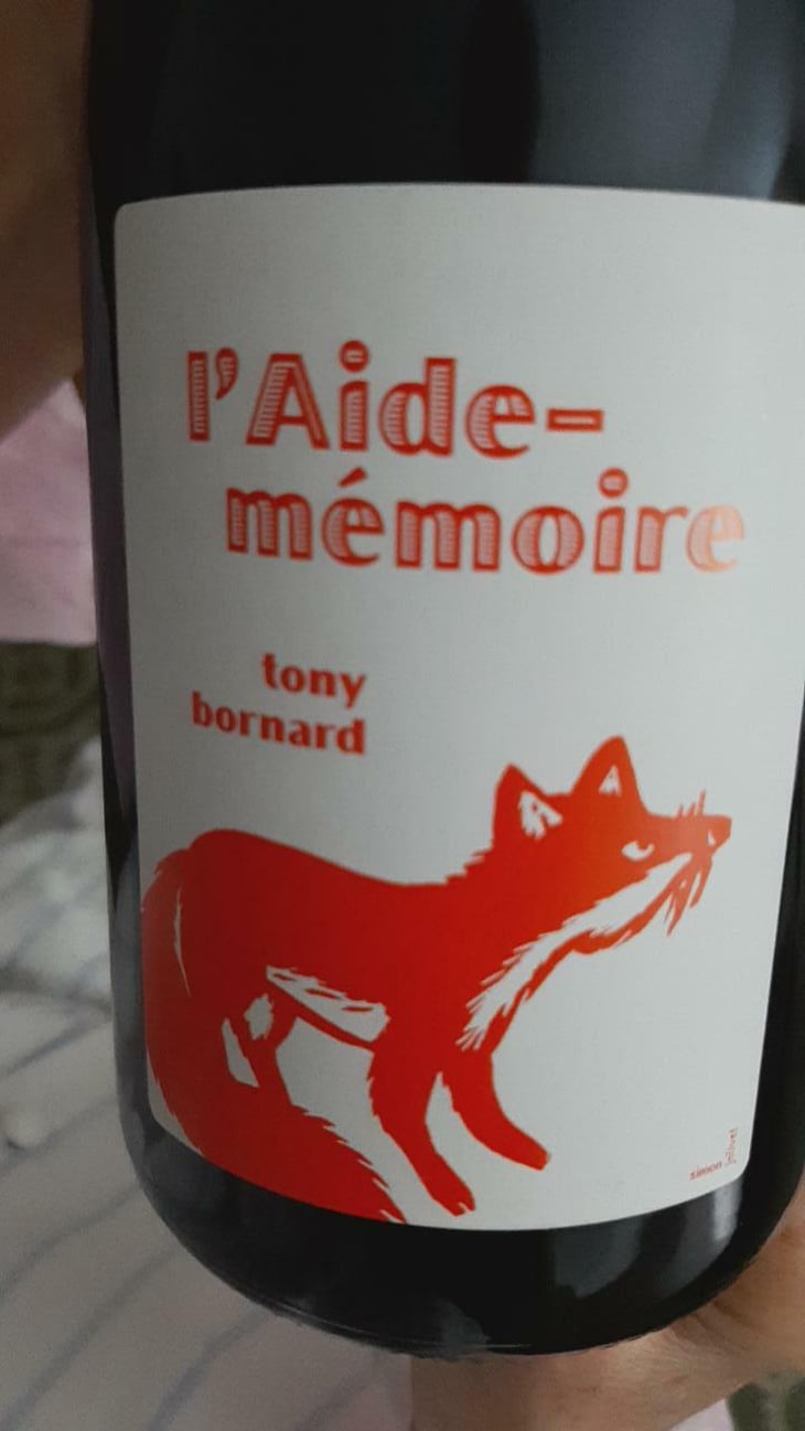L'Aide-Mémoire - Domaine Bornard - Tony Bornard 