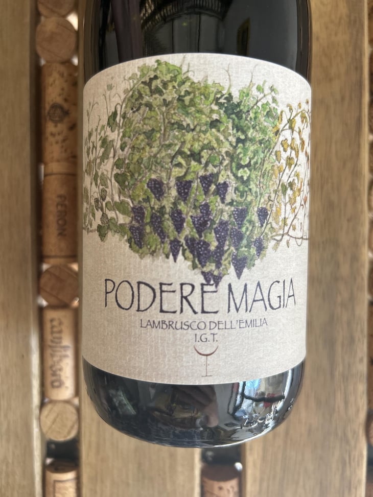Lambrusco dell’Emilia Igt - Podere Magia - Stefano Pescarmona 