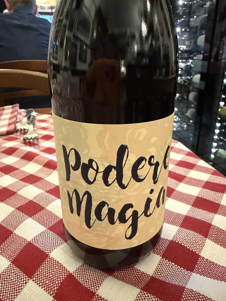 Lambrusco dell’Emilia Igt - Podere Magia - Stefano Pescarmona 
