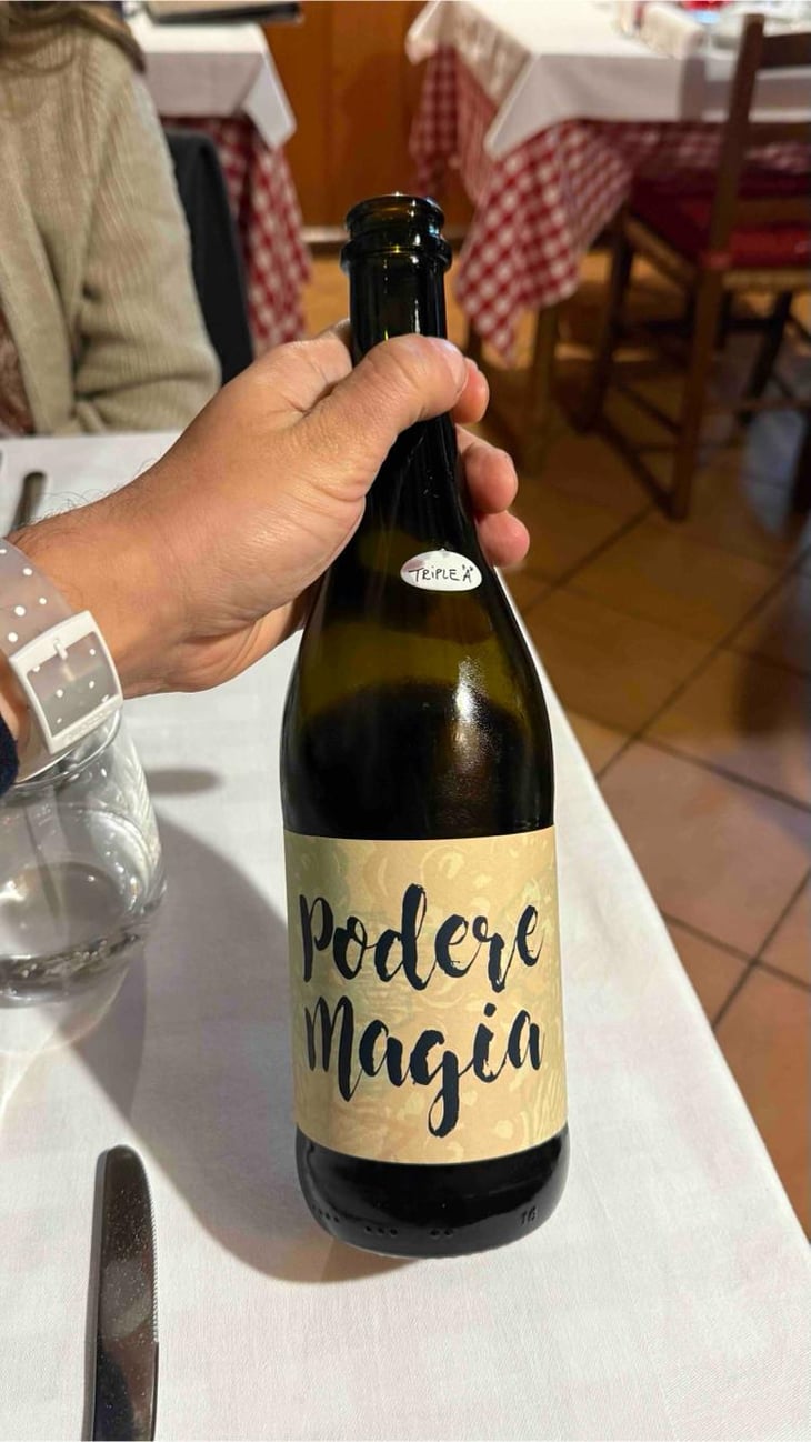 Lambrusco dell’Emilia Igt - Podere Magia - Stefano Pescarmona 