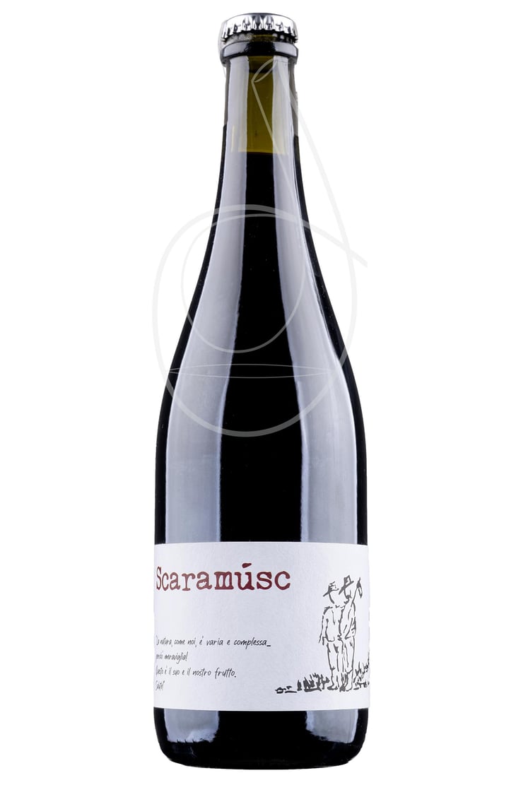 Lambrusco dell'Emilia - Angol d'Amig - Marco Lanzotti -2022
