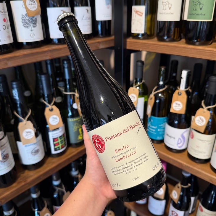Lambrusco - Fontana dei Boschi - Vittorio Graziano 