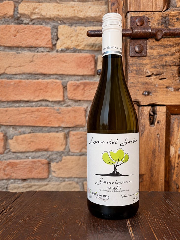 Lame del Sorbo - Sauvignon - Azienda Agricolavinica - Rodolfo Gianserra e Giuseppe Tudino 