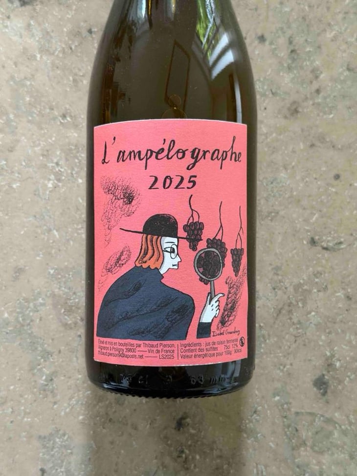 L’Ampélographe - Thibaud Pierson - Thibaud Pierson -2025