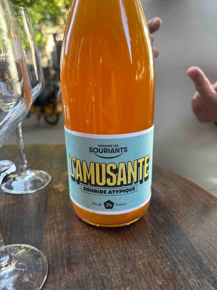 L'amusante - Domaine Les Souriants - Maxime Troncy & Damien Polosse 