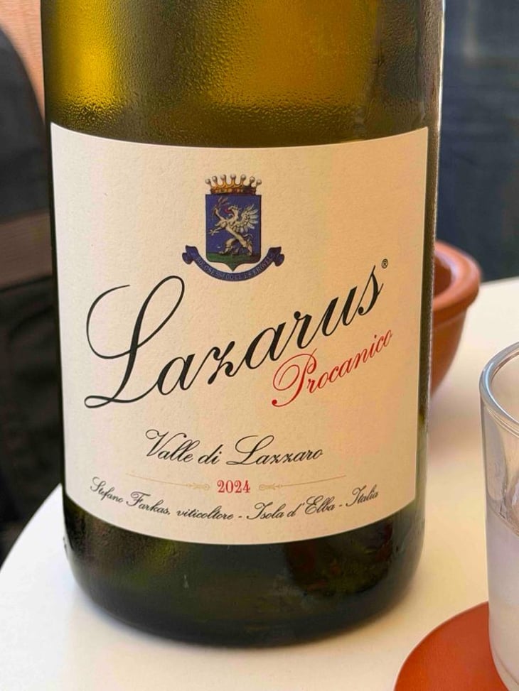Lazarus Procanico - Valle di Lazzaro - Stefano Farkas -2024