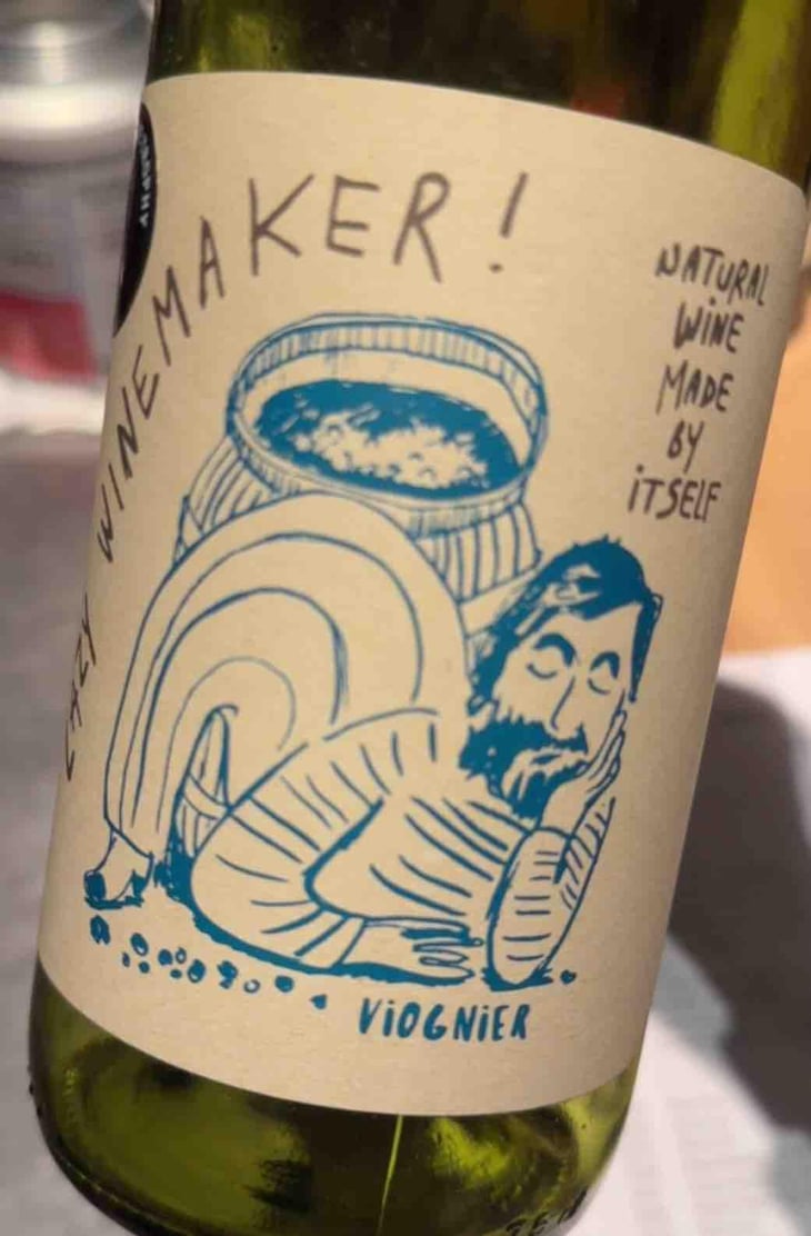 Lazy Winemaker Viognier - Viña Echeverría - Quasar Wines - Roberto, Viviana, Paulina & Diego Echeverría -2022
