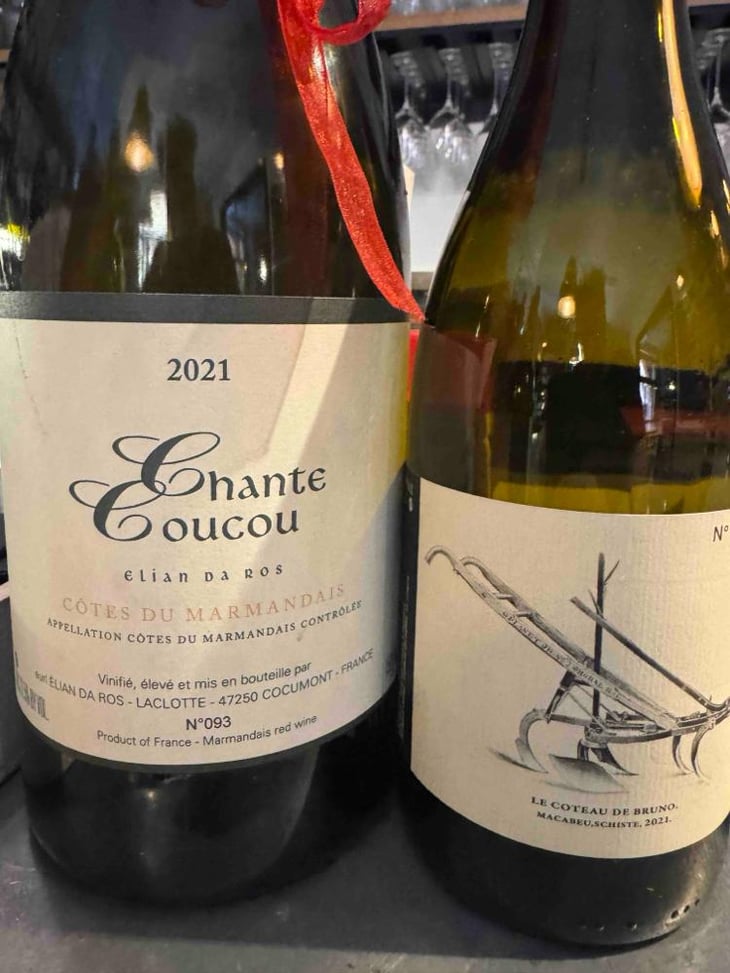 Le Coteau de Bruno - Clos du Rouge Gorge - Cyril Fhal -2021