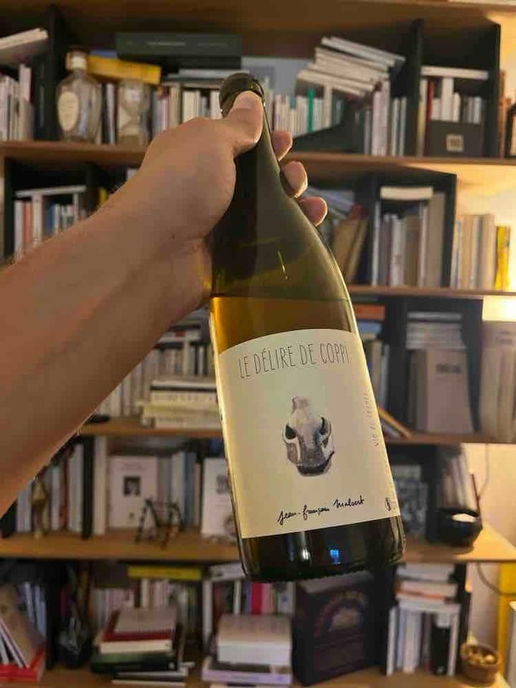 le delire de coppi - Malsert - Jean-François Malsert -2020