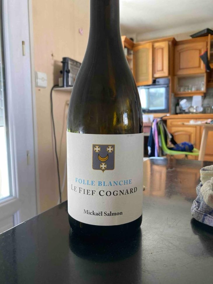 Le Fief Cognard - Domaine Lucas-Salmon - Mickaël Salmon -2024