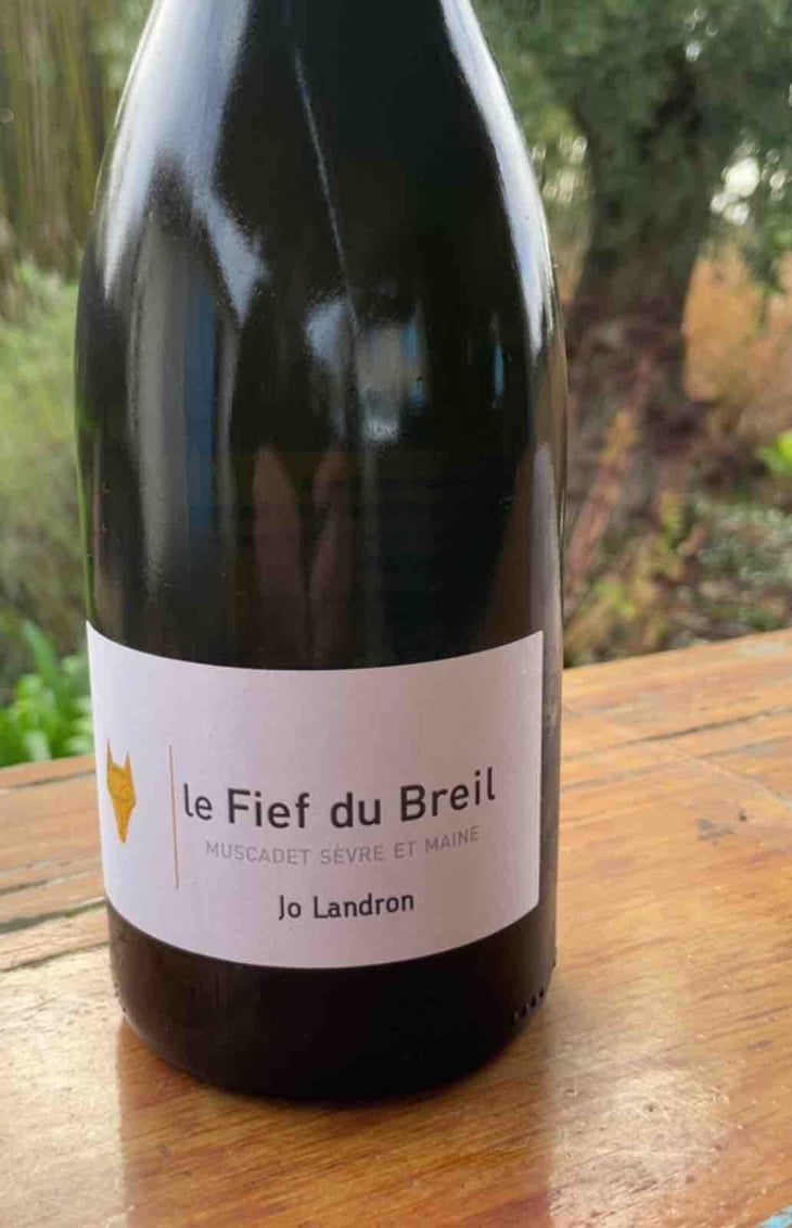 Le Fief du Breil - Domaine Jo Landron - Jo Landron 