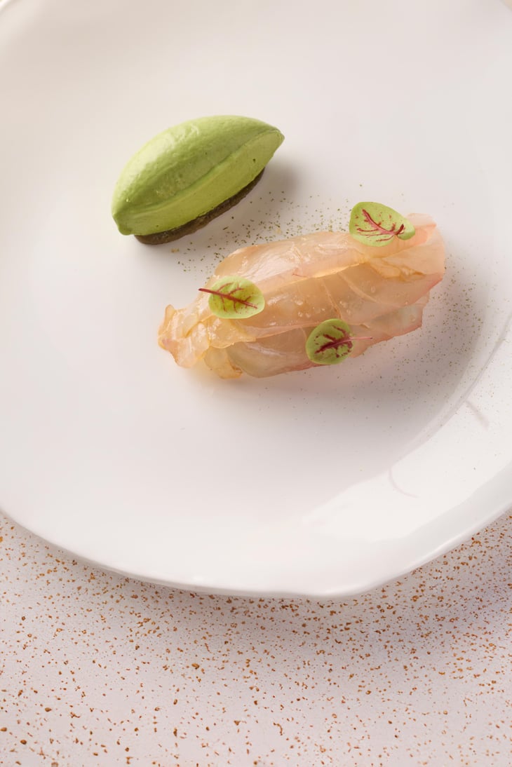 Daurade Royale Des Côtes Bretonnes En Carpaccio - 5 Terres Hôtel & Spa - 1367430