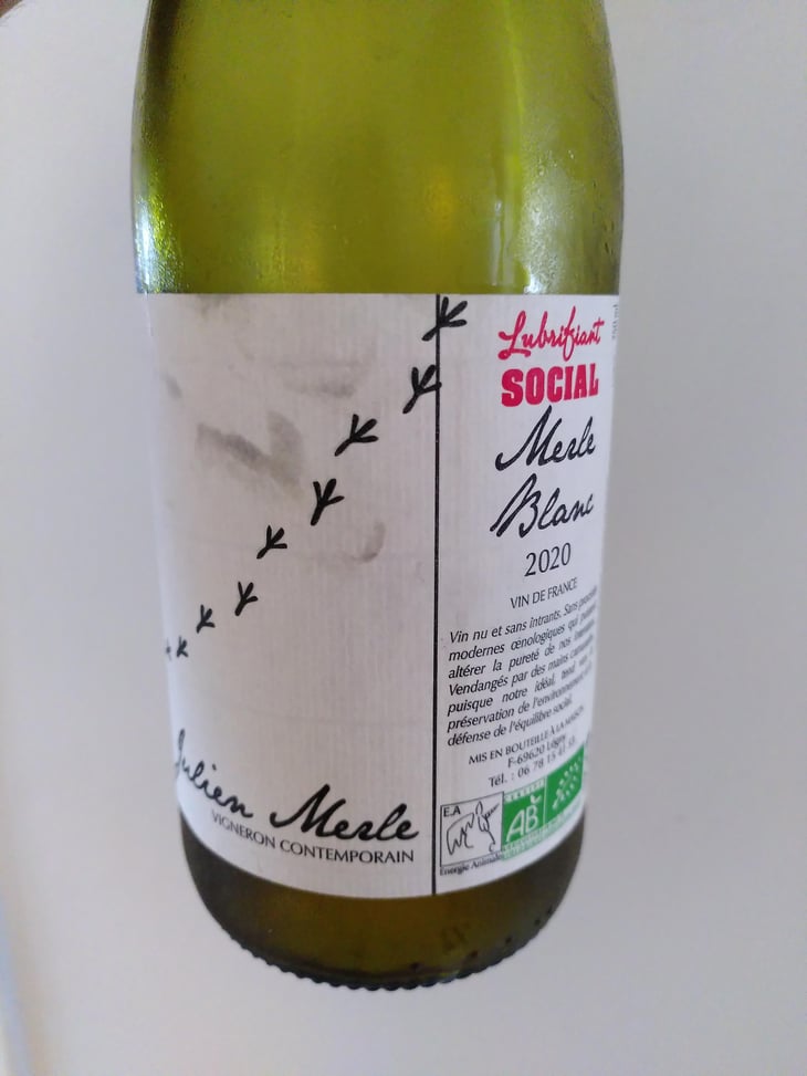 Le Merle Blanc - Julien Merle - Julien Merle 