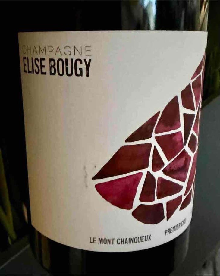 Le Mont Chainqueux - Elise Bougy - Elise Bougy 