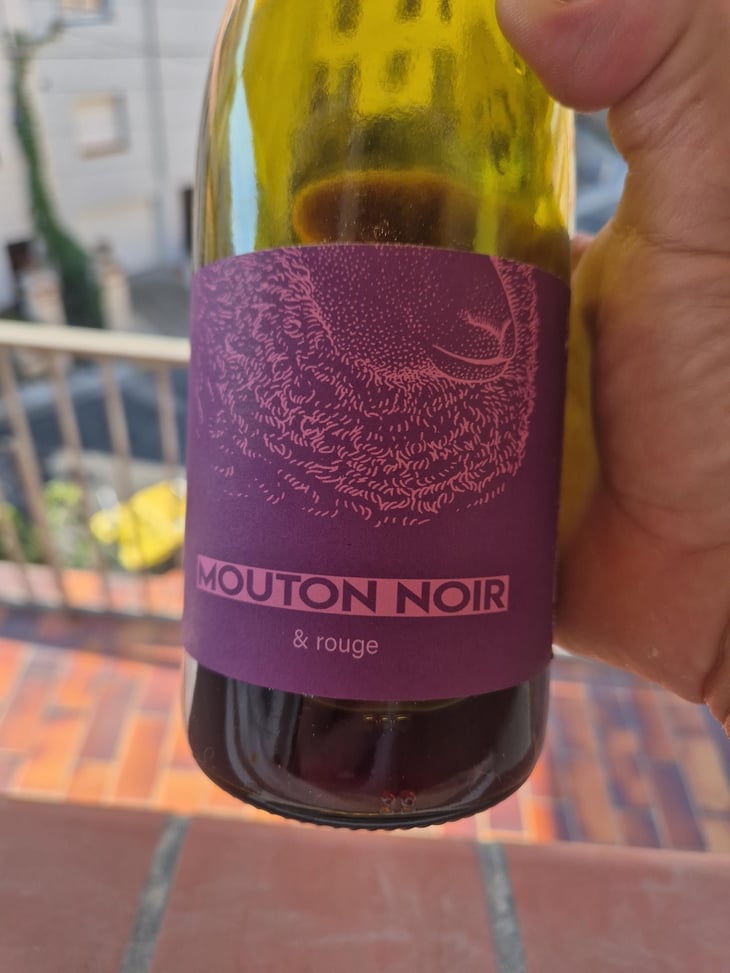 Le mouton noir - Mas du Mouton Noir - Cédric Mouton -2020