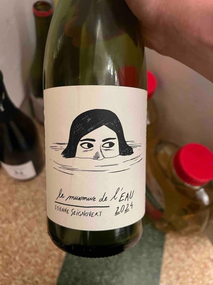 Le Murmure de l'Eau - Domaine Etienne Seignovert - Etienne Seignovert 