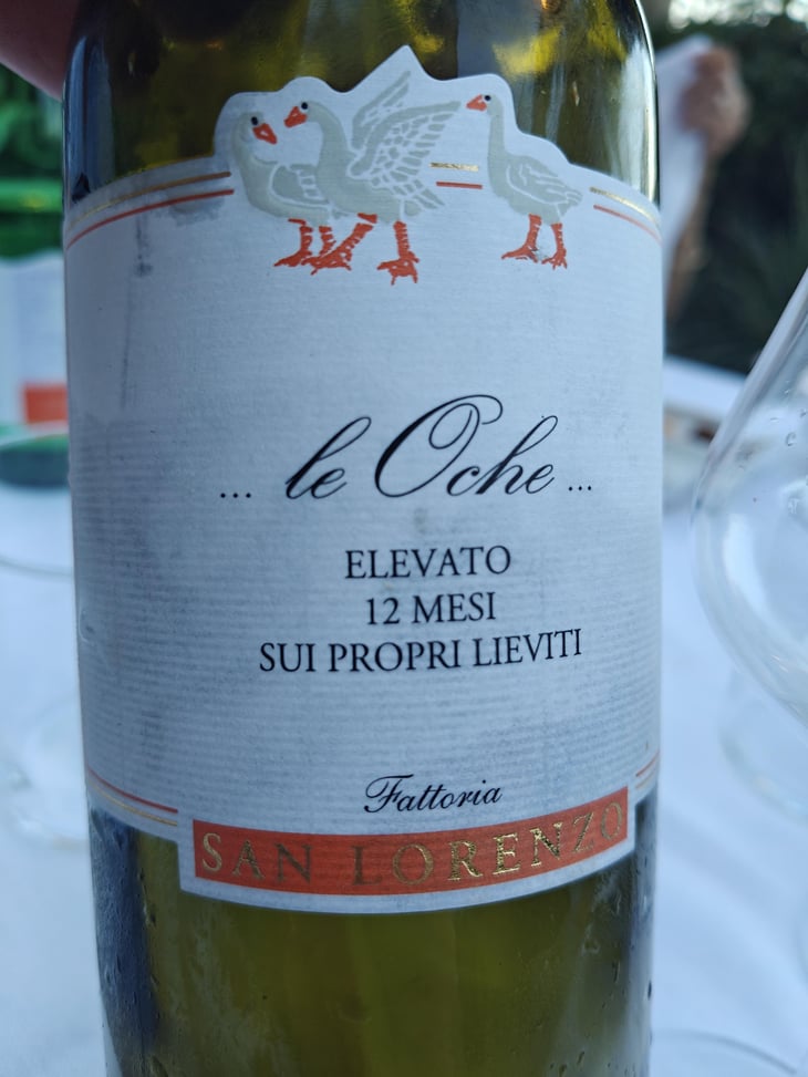 Le Oche - Fattoria San Lorenzo - Natalino Crognaletti 