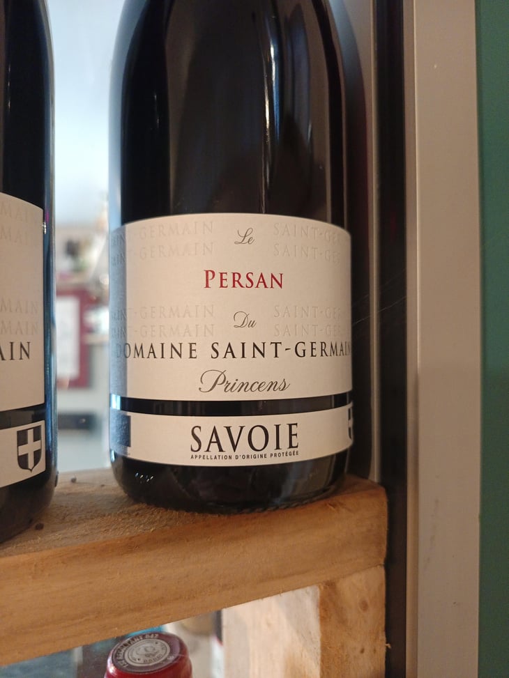 Le Persan du Princens - Domaine Saint Germain - Raphael Saint-Germain -2021