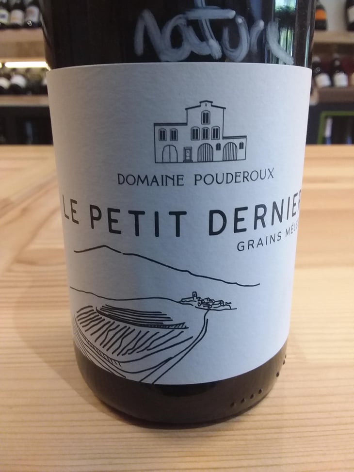 Le petit dernier - Pouderoux - Leo Hammer bury 