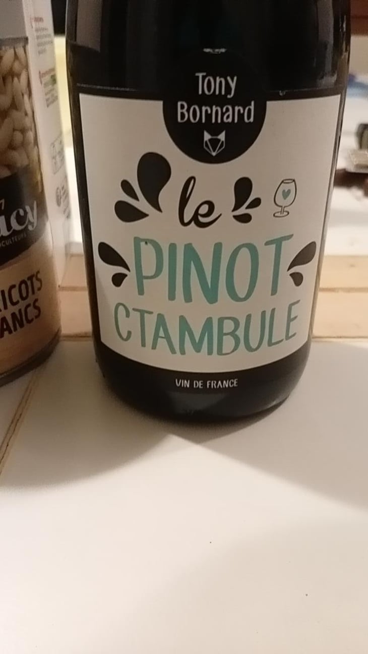 Le Pinotctambule - Domaine Bornard - Tony Bornard 
