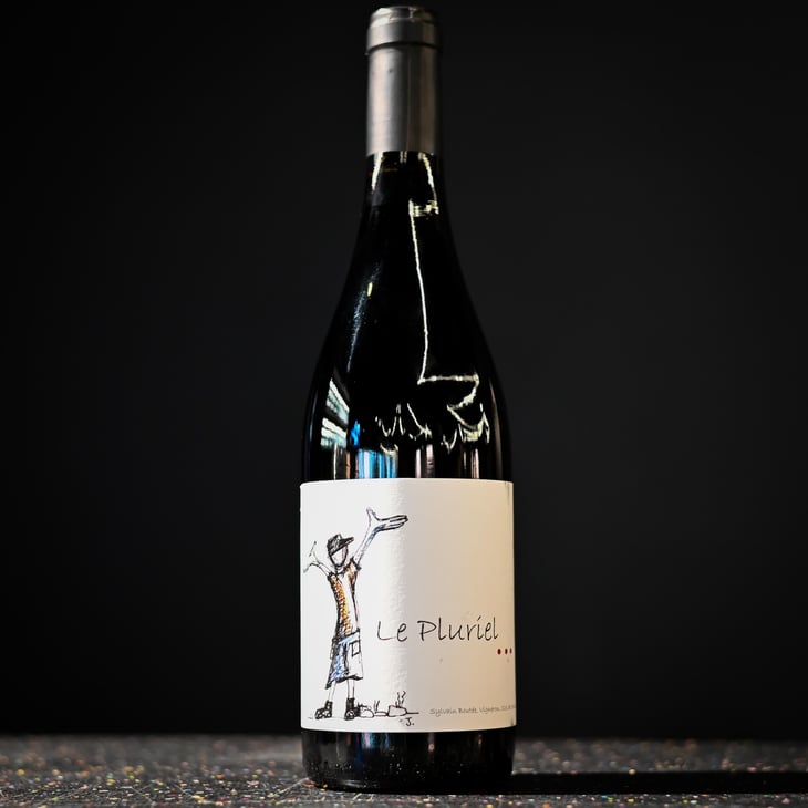 Le Pluriel Rouge - Clos Des Boutes - Sylvain Boutée 
