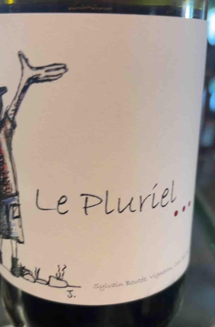 Le Pluriel Rouge - Clos Des Boutes - Sylvain Boutée 