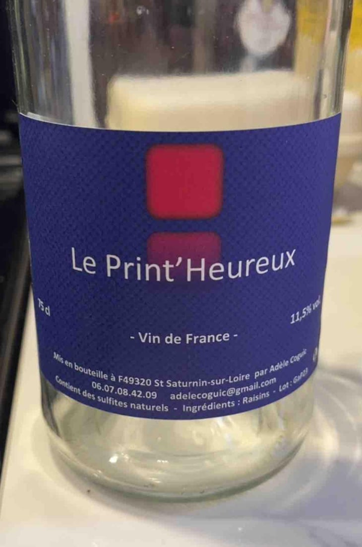 Le Print’ Heureux - Adèle coguic - Adèle Coguic 