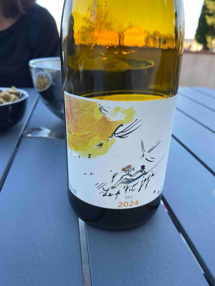 Le P'tit Jaja 2 - Domaine de la Roche Bleue - Sébastien Cornille -2023
