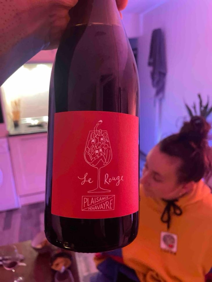 Le Rouge - Domaine Plaisance - Penavayre - Louis, Marc et Thibaut Penavayre 