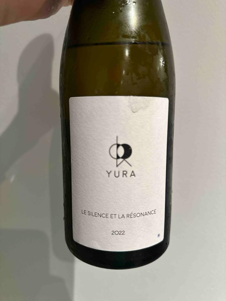 LE SILENCE ET RÉSONANCE - Yura - Jintaro Yura 