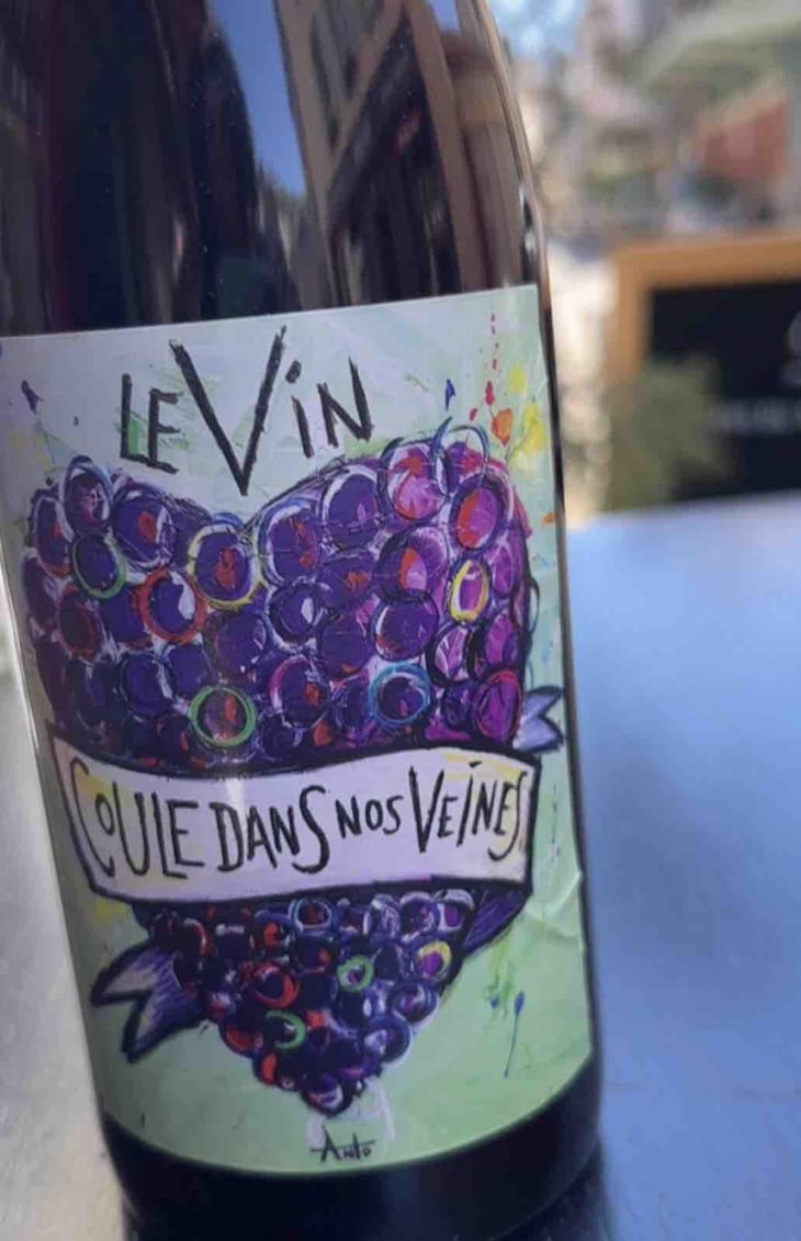 Le Vin Coule Dans Nos Veines - Domaine Giacometti - Sarah & Simon Giacometti 