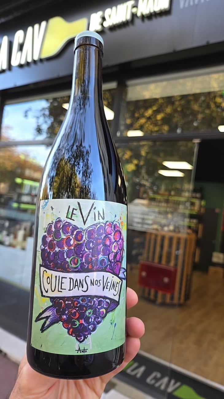 Le Vin Coule Dans Nos Veines - Domaine Giacometti - Sarah & Simon Giacometti 